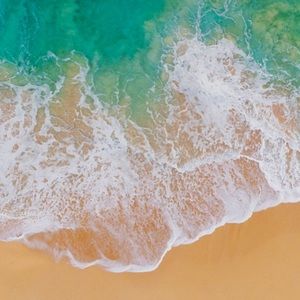 Meet your Posher, Molly